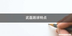 武磊踢球特点