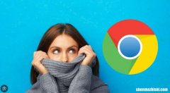 Google Chrome无法安装在Windows中，修复方法