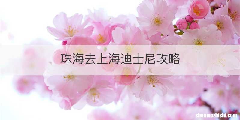 珠海去上海迪士尼攻略