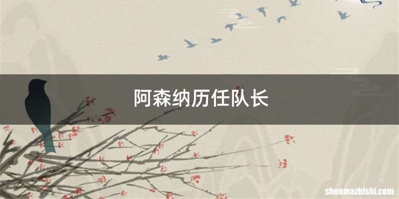 阿森纳历任队长