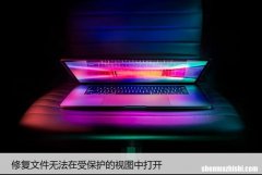 如何修复文件无法在受保护的视图中打开的问题