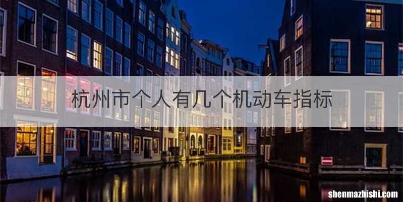 杭州市个人有几个机动车指标