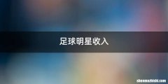 足球明星收入
