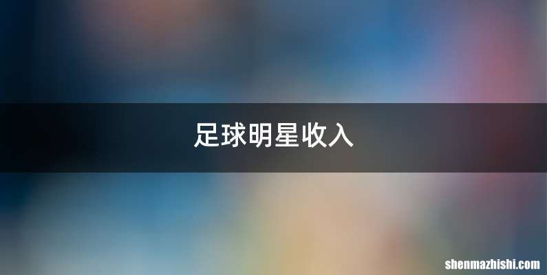 足球明星收入