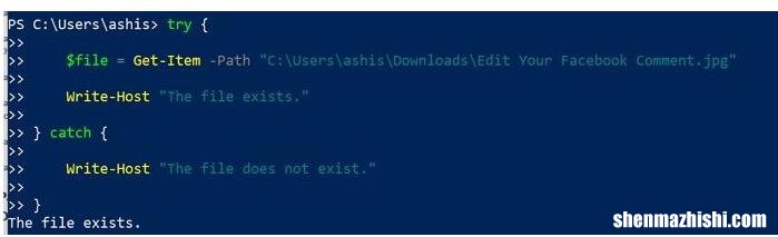 如何使用PowerShell判断文件是否存在