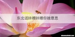 东北话咔嚓咔嚓你啥意思