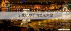 东北小炒羊肉做法大全