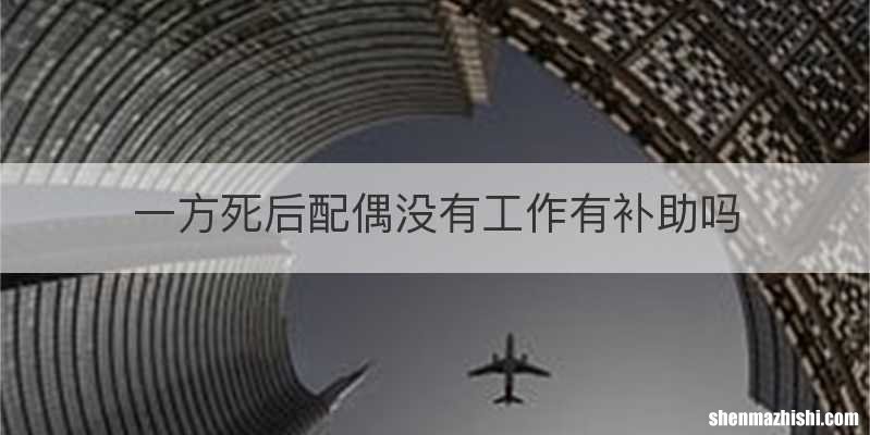 一方死后配偶没有工作有补助吗
