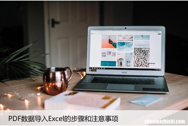 PDF数据导入Excel的步骤和注意事项