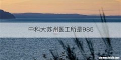中科大苏州医工所是985