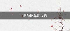 罗马队全部比赛