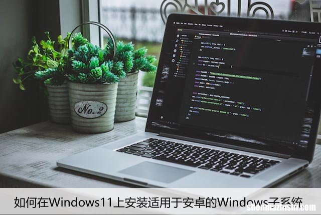 如何在Win11上安装适用于安卓的Windows子系统