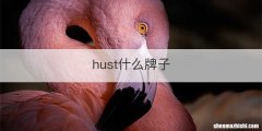 hust什么牌子