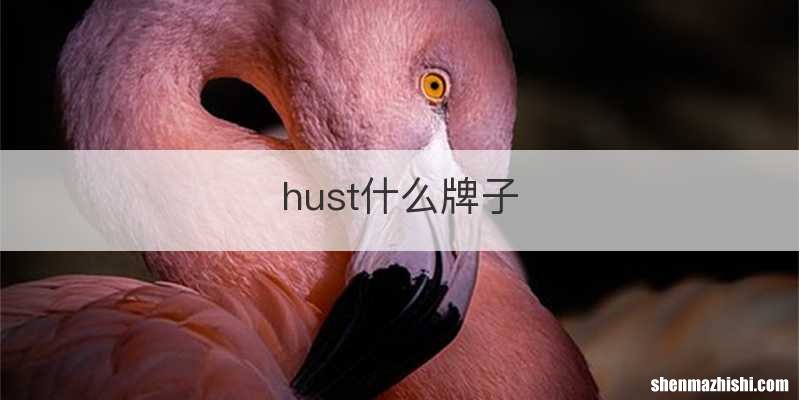 hust什么牌子