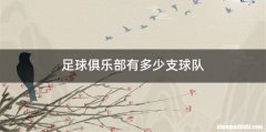 足球俱乐部有多少支球队
