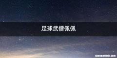 足球武僧佩佩