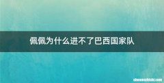 佩佩为什么进不了巴西国家队