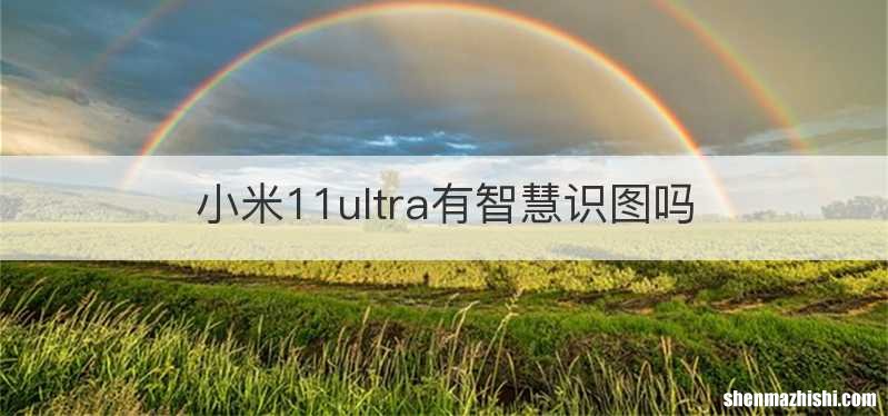 小米11ultra有智慧识图吗
