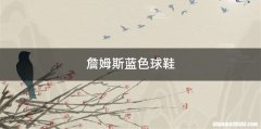 詹姆斯蓝色球鞋