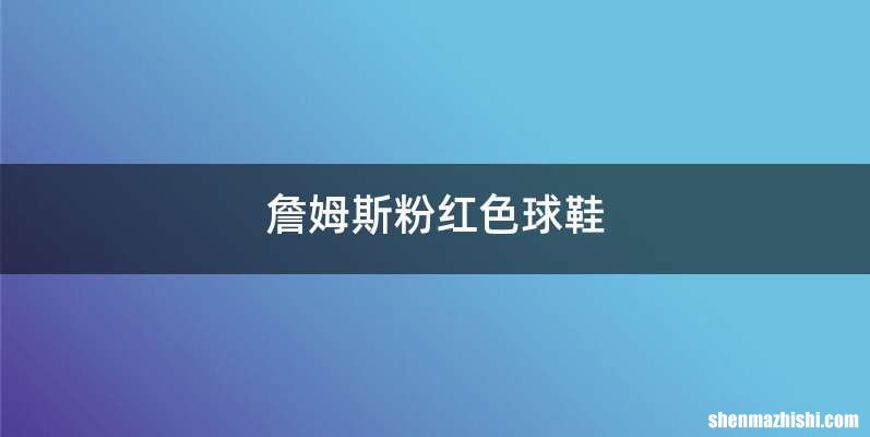 詹姆斯粉红色球鞋
