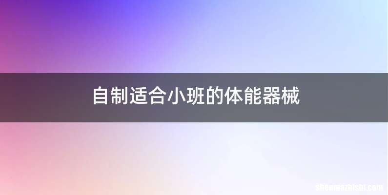 自制适合小班的体能器械
