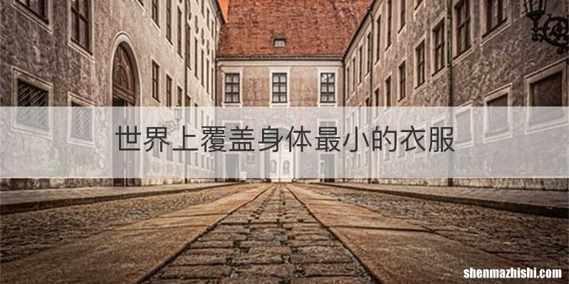 世界上覆盖身体最小的衣服