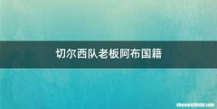 切尔西队老板阿布国籍