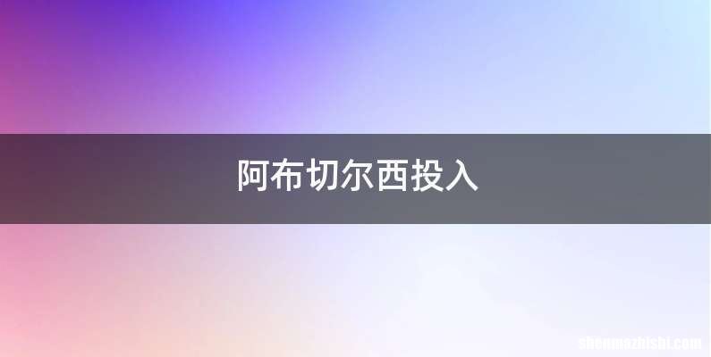 阿布切尔西投入