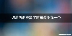 切尔西老板黑了阿布多少钱一个
