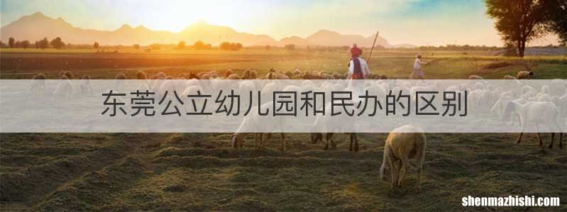 东莞公立幼儿园和民办的区别
