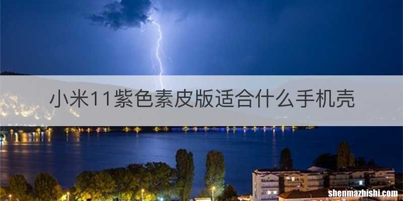 小米11紫色素皮版适合什么手机壳