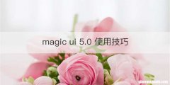 magic ui 5.0 使用技巧