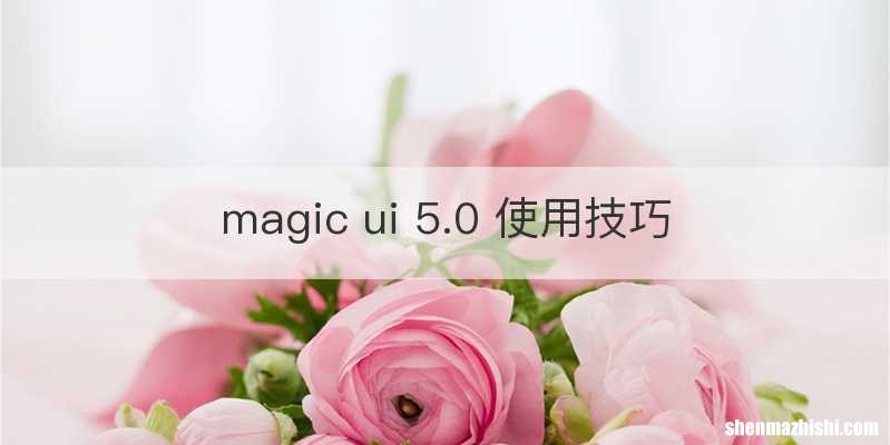 magic ui 5.0 使用技巧