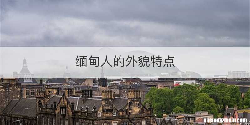 缅甸人的外貌特点