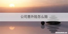 公司意外险怎么赔