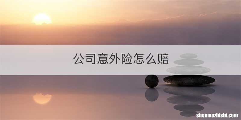 公司意外险怎么赔