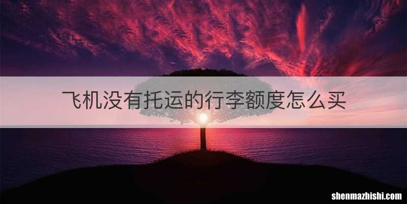 飞机没有托运的行李额度怎么买