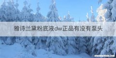 雅诗兰黛粉底液dw正品有没有泵头