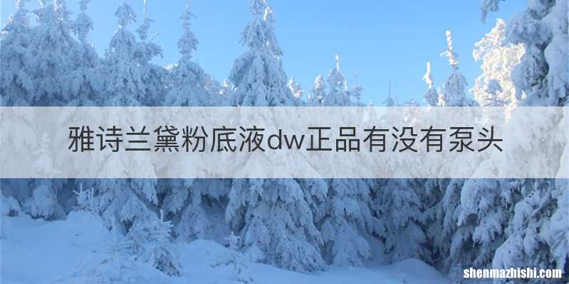雅诗兰黛粉底液dw正品有没有泵头