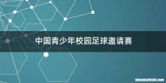 中国青少年校园足球邀请赛