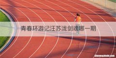 青春环游记汪苏泷剑魂哪一期