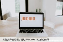如何允许应用程序通过Windows11上的防火墙