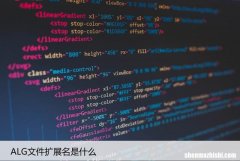 .ALG文件如何打开 ALG文件扩展名是什么
