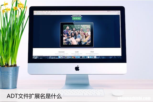 .ADT文件如何打开 ADT文件扩展名是什么