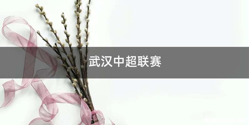 武汉中超联赛