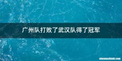 广州队打败了武汉队得了冠军