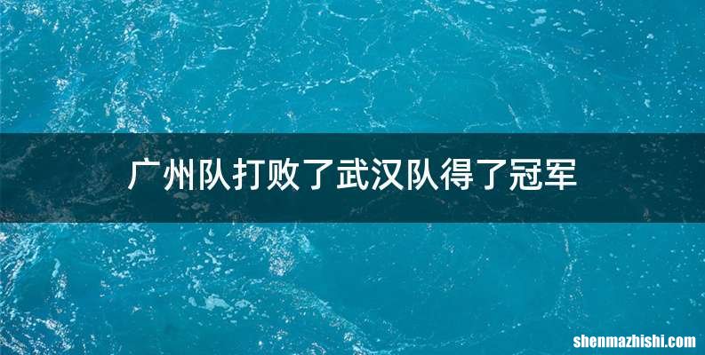 广州队打败了武汉队得了冠军