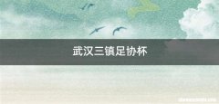武汉三镇足协杯