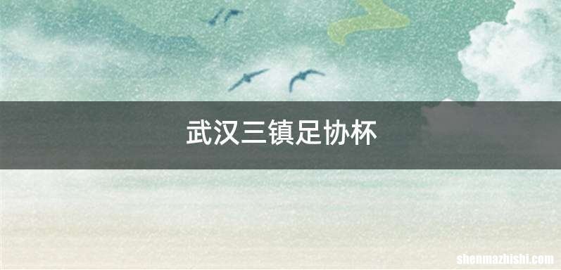 武汉三镇足协杯