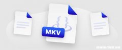 MKV格式视频是什么？教你用这些播放器轻松打开
